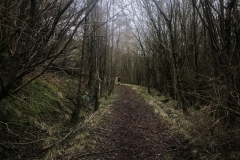 Near Talybont Reservoir