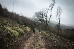 The Long Climb to the Summit