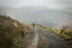 The Long Climb to the Summit