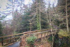 Bridge Near Pontsticill Reservoir